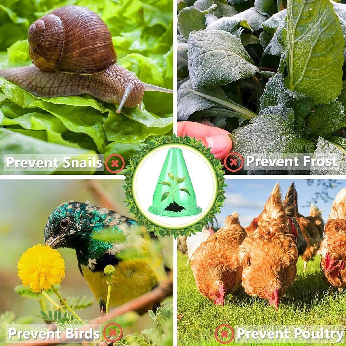 12PCS Clear Garden Plant Protector Bell Covers Round for Frost Birds Weather
