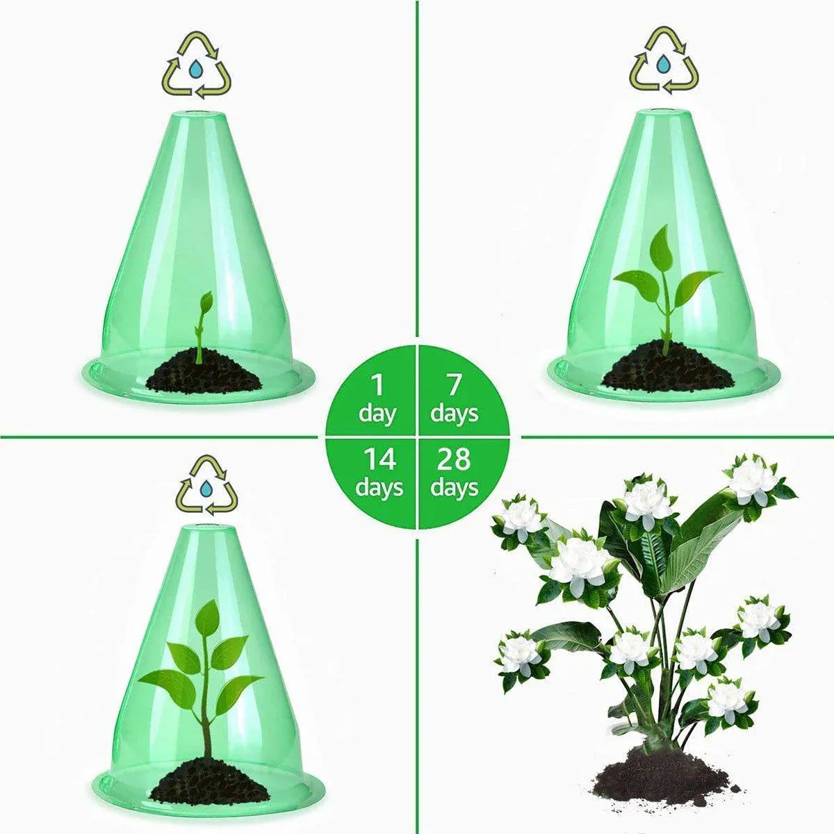12PCS Clear Garden Plant Protector Bell Covers Round for Frost Birds Weather