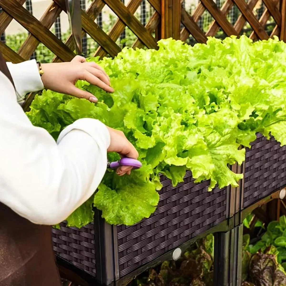 Outdoor Rectangular Balcony Vegetable Planter Box Garden Flower Planting