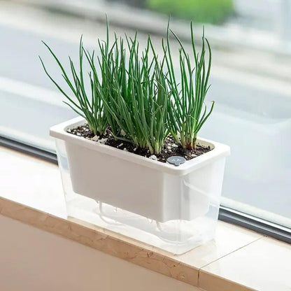 Balcony Vegetable Pot Planter Lazy Self Priming Flower Pot for Indoor Gardening - White