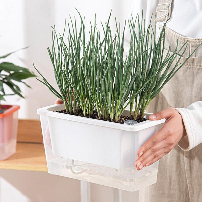 Balcony Vegetable Pot Planter Lazy Self Priming Flower Pot for Indoor Gardening - White