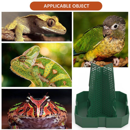 Reptile Anti Escape Feeding Basin Self Catch Feeder for Lizard Snake Pet Care - Brown-L