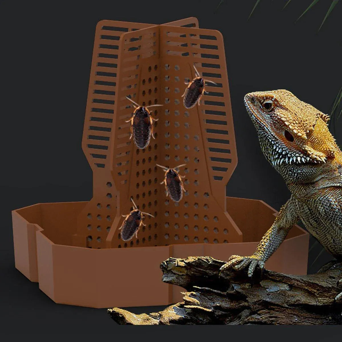 Reptile Anti Escape Feeding Basin Self Catch Feeder for Lizard Snake Pet Care - Brown-L