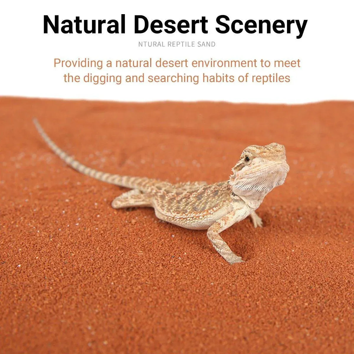 Reptile Sand Climbing Mat Pet Feeding Box Terrarium Landscaping Accessories - Yellow