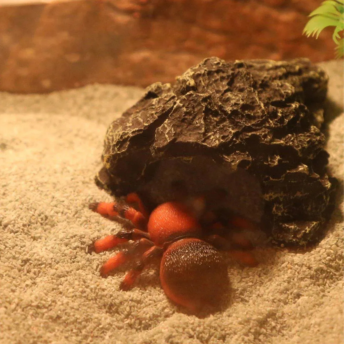 Pet Sand for Tortoises Snakes Lizards Spiders Multi-colour Reptile Habitat Decor - Grey Blue