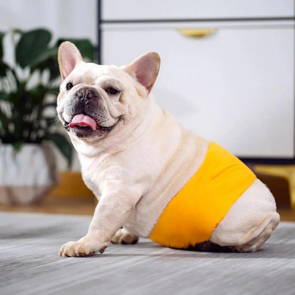 XL Male Dog Puppy Nappy Diaper Belly Wrap Band Sanitary Pants Underpants - Green