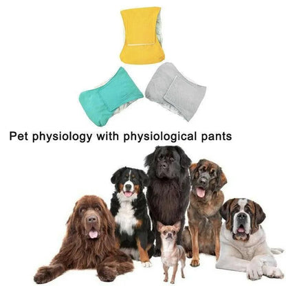 XL Male Dog Puppy Nappy Diaper Belly Wrap Band Sanitary Pants Underpants - Green