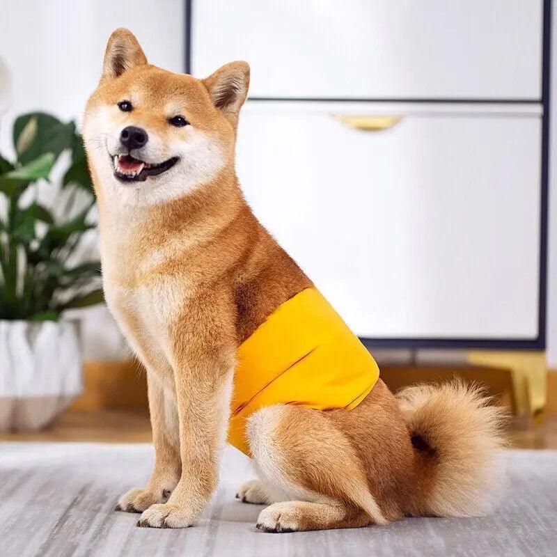 XL Male Dog Puppy Nappy Diaper Belly Wrap Band Sanitary Pants Underpants - Yellow