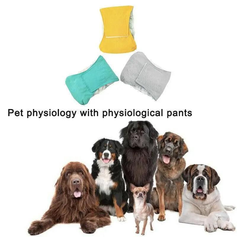XL Male Dog Puppy Nappy Diaper Belly Wrap Band Sanitary Pants Underpants - Yellow