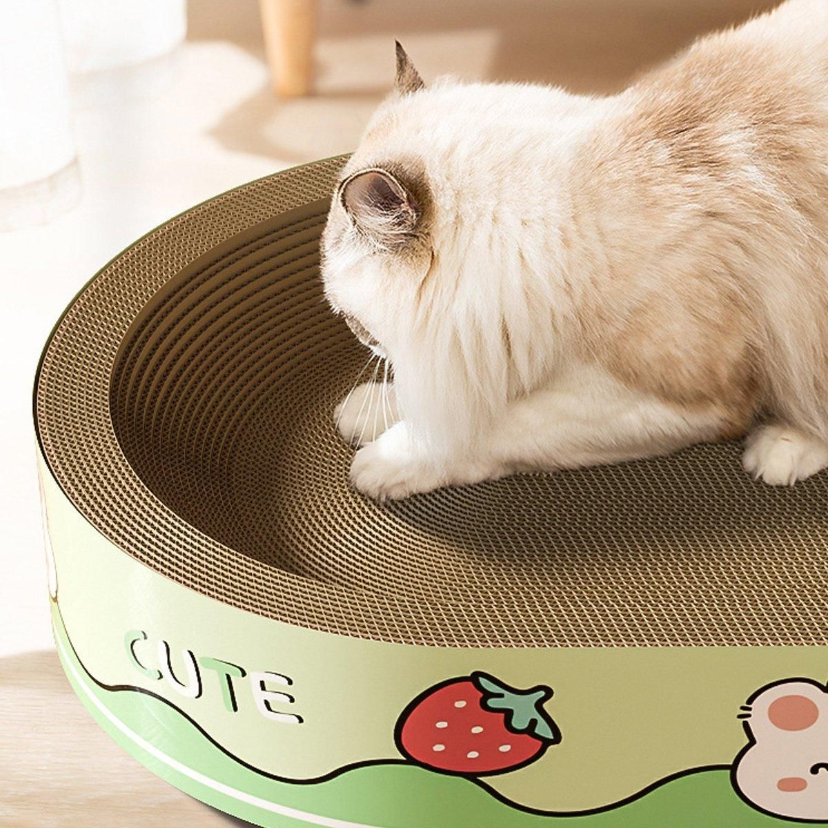 Extra-Large Oval Cat Scratching Board Durable Pet Toy Cat Kittens Wear Resistant - Bear