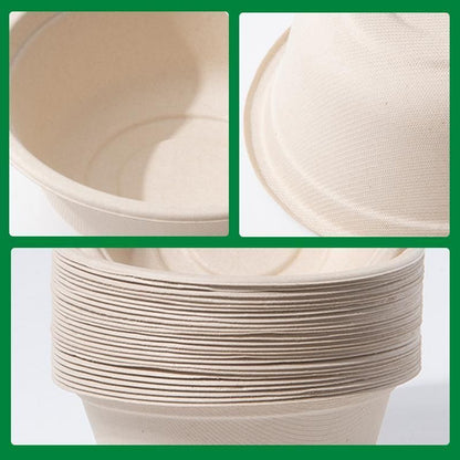250PCS Food Preparation Burger Storages Cake Packaging Box Lunch Boxes Primary - Primary 750ml-PET lid