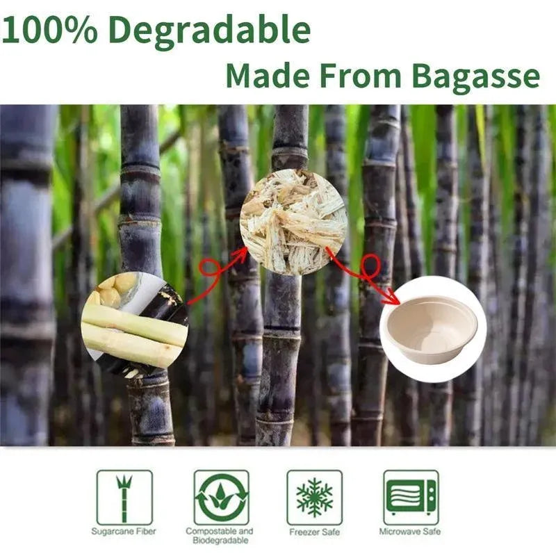 250PCS Food Preparation Burger Storages Cake Packaging Box Lunch Boxes Primary - Primary 750ml-PET lid