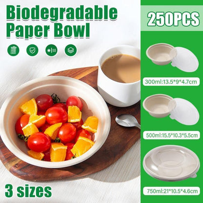 250PCS Food Preparation Burger Storages Cake Packaging Box Lunch Boxes Primary - Primary 750ml-PET lid