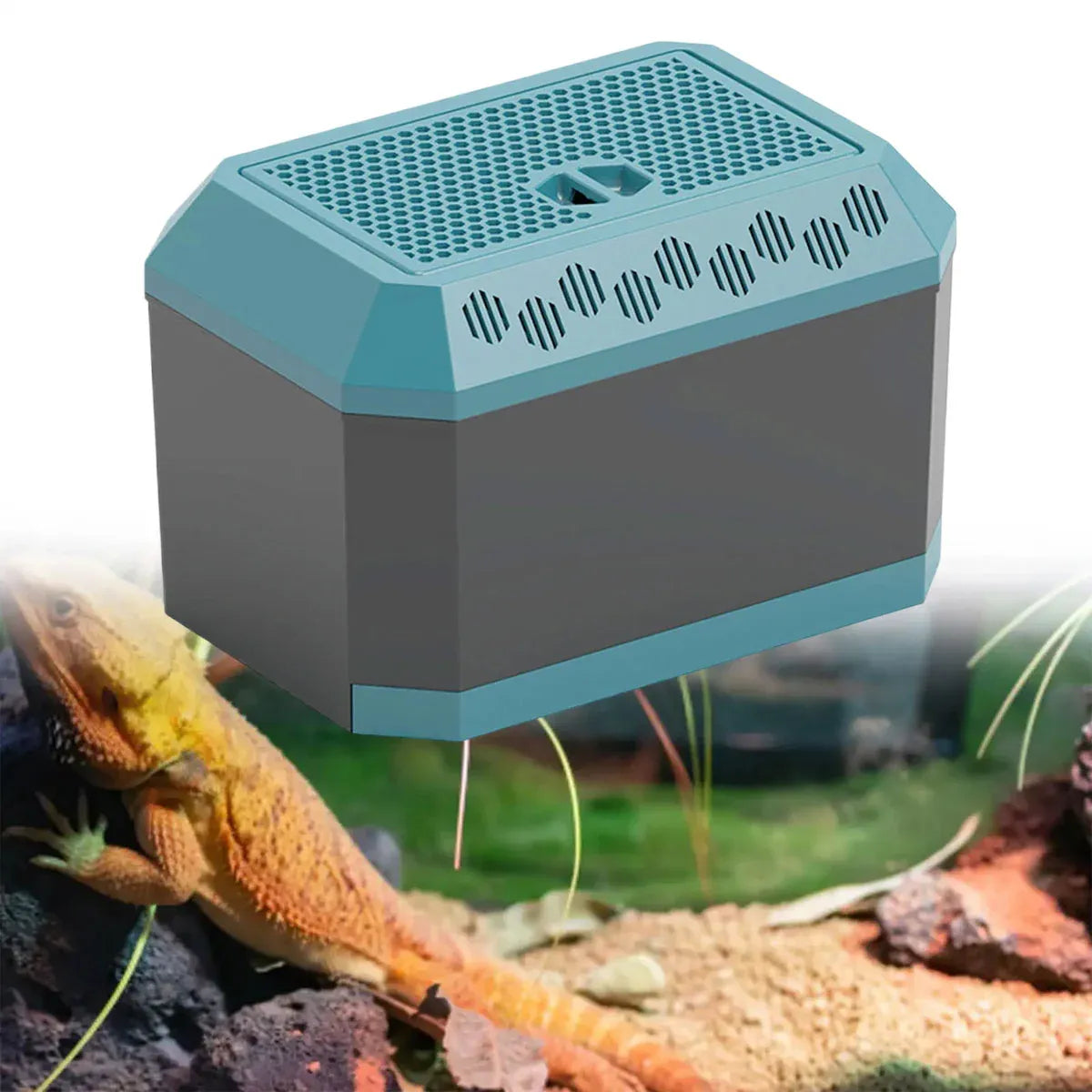 Insect Breeding Box Flip Cover Ventilated Insect Habitat Container for Home Lab