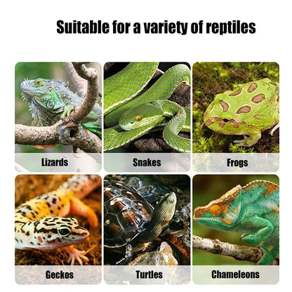 Insect Breeding Box Flip Cover Ventilated Insect Habitat Container for Home Lab