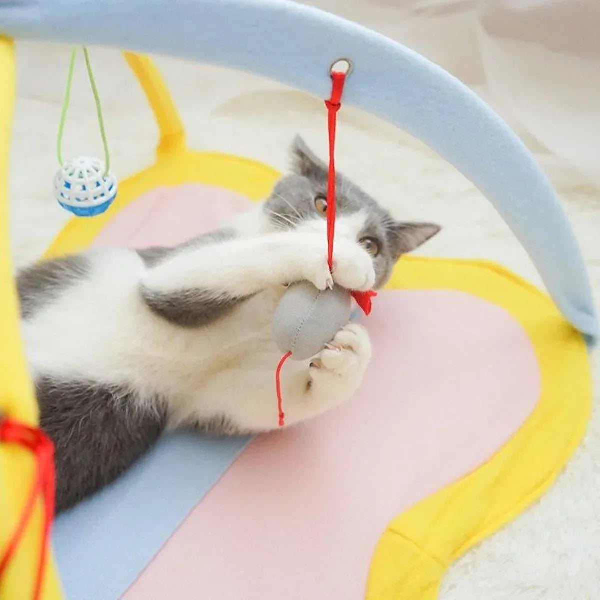 Breathable Pet Hammock Cat Bed with Fun Cartoon Bell Toy Cat Tent Supplies - Little Bee