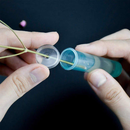 100/200PCS Flower Fresh Keeping Tube Floral Bouquet Nutrition Water Care Supply - 1.8*4cm - Transparent 200PCS