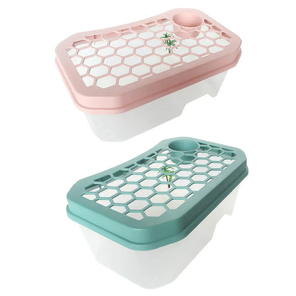 Open Turtle Tank Sun Basking Platform Plastic Reptile Habitat Aquarium Large - Blue
