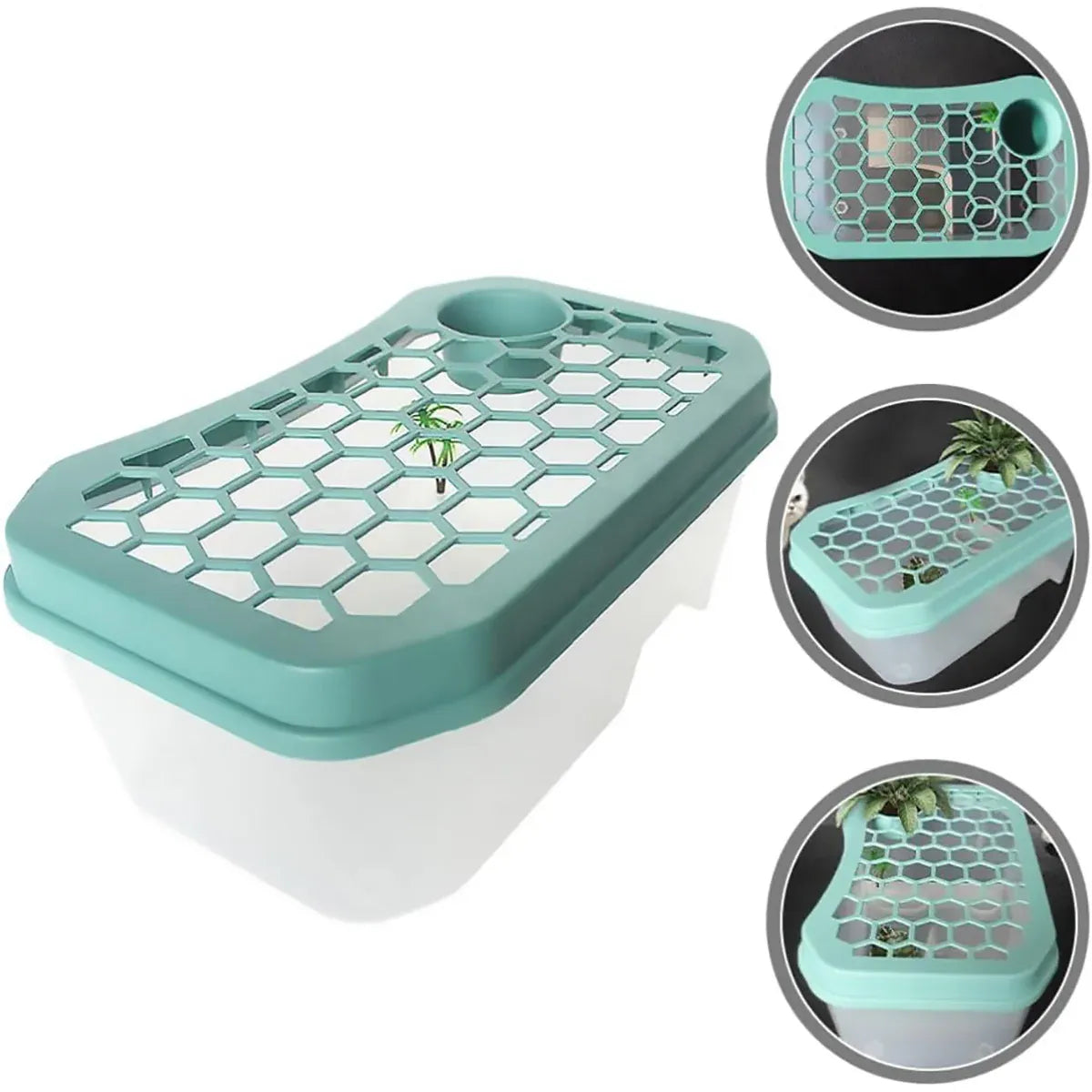 Open Turtle Tank Sun Basking Platform Plastic Reptile Habitat Aquarium Large - Blue