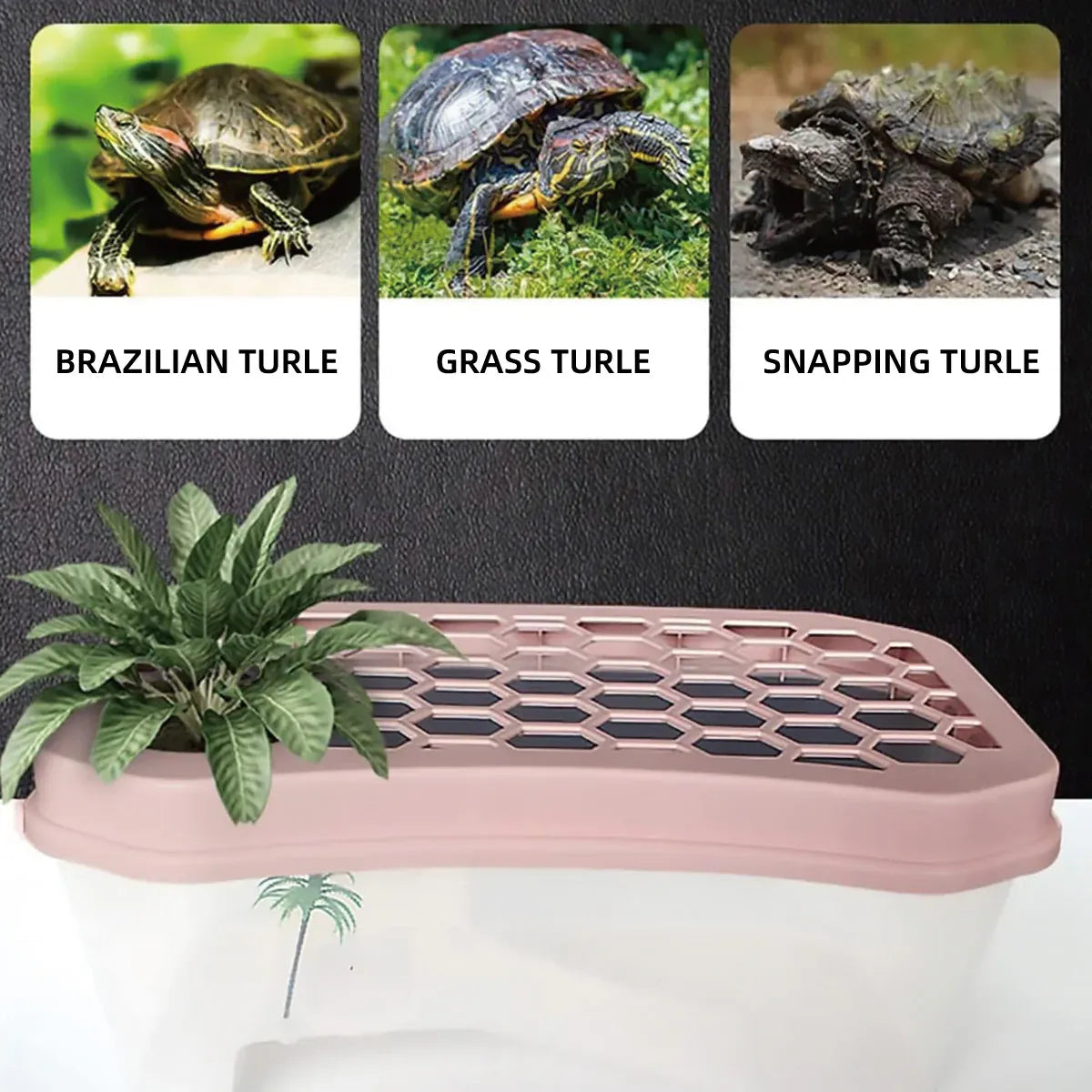 Open Turtle Tank Sun Basking Platform Plastic Reptile Habitat Aquarium Large - Pink