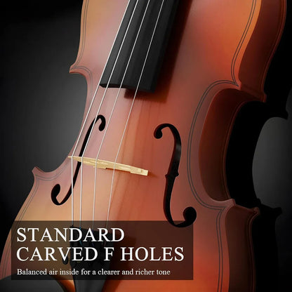 Beginner Violin 4/4 Set Durable Linden Wood for Kids Adults Learning
