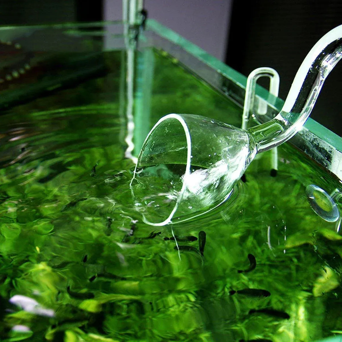 Aquarium Glass Inlet Outlet Pipe Fish Tank Filter Oil Film Remover Plant Holder - Speaker outlet-16mm