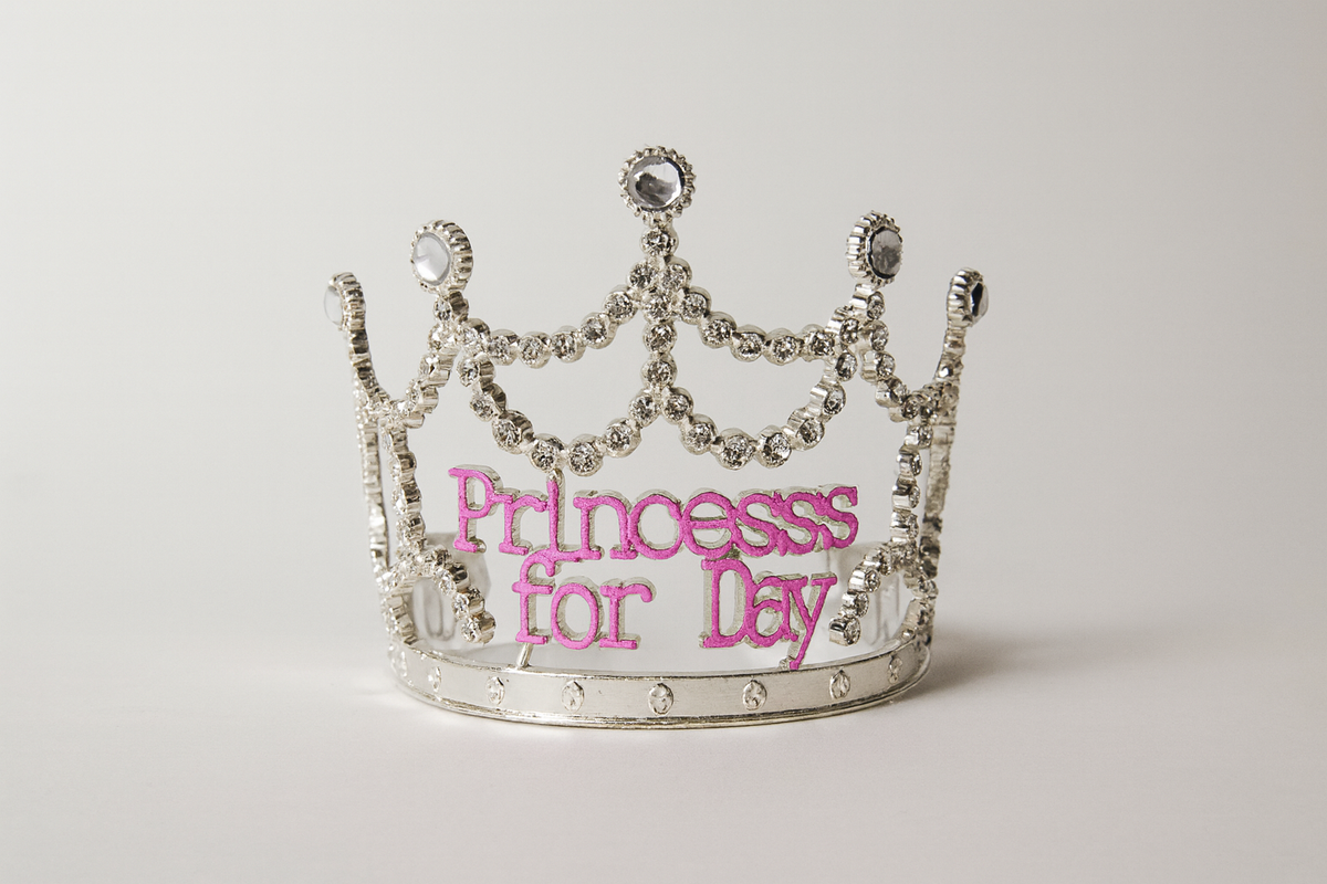Princess for the Day Tiara – Silver Rhinestone Crown with Pink Lettering - Silver